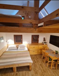 Lake house Amur - Kočevje - 8
