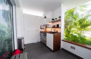 Best Flat in Corossol with Ocean Views - Gustavia - 4