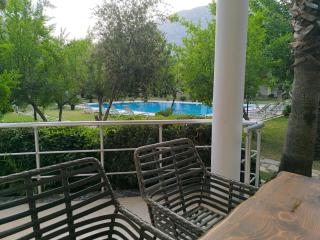 Amazonica MAGİC DREAM - 4