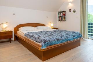 Apartma Hiša ob Savi - Bohinj - 1