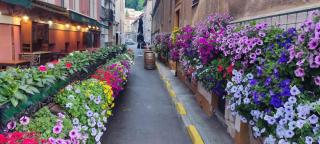 Small & Cute Downtown Apartment with parking - Saraievo - 3