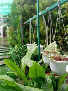 Homestay Golf Yard - BiPQ - Phu Quoc - 0