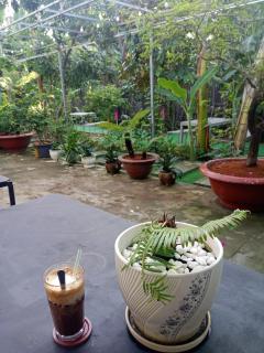 Homestay Golf Yard - BiPQ - Phu Quoc - 6