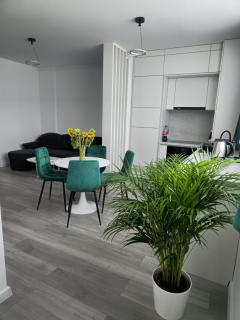 XCity Apartment - Timişoara - 6