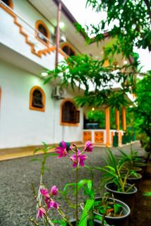 Osha Villa - Dharga Town - 8