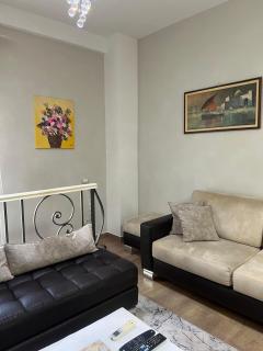 Duplex Cane Apartment - Tirana - 3