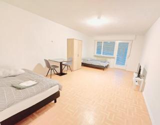 Ferienwohnung Heilbronn EFDE GmbH - Heilbronn - 8