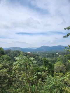 Highrange villas - Vagamon - 8