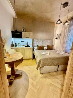 STING Boutique Apartments - Ostrava - 3