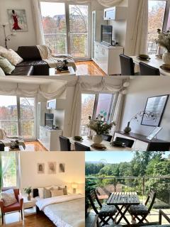 Prelep Pogled, Elegantan Komfor Blizu Centra, Besplatan Parking, Apartman Floresta - Vrnjačka Banja - 9