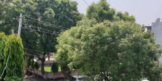 Family Home - 2
