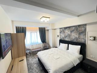 Premium Rooms & Boutique Apartments with Free Parking - Iaşi - 5
