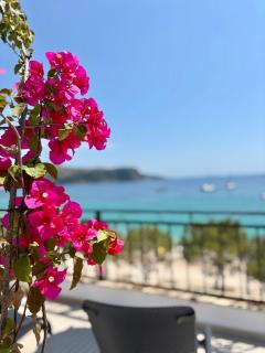 Guesthouse 1932 - Himare - 8