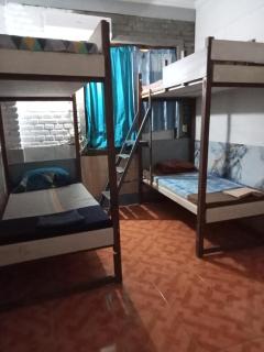 Apollo Hostel - Lovina - 4