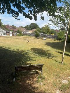 Stanley - Wallington - 8