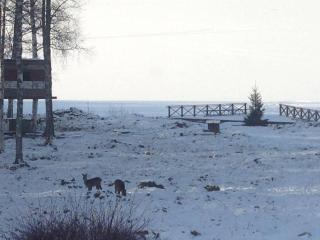 Flat in Lakeside Villa, Sleeps 8 - Ludvika - 5