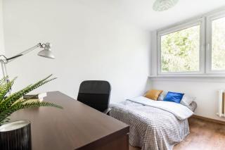 CityStay Młodych Techników - Breslavia - 1