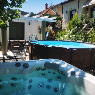 Kúria apartman with private jacuzzi and pool - Budapest - 7