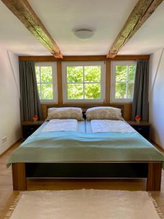 Kap der guten Hopfung - 4