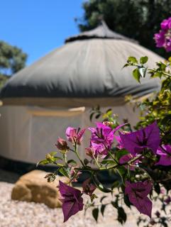 Home stay en finca rural - Tarifa - 9