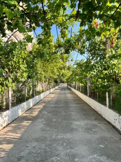 Serenity Studios in Country House - Vlora - 9