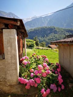 Cò di Nóni, Ponto Valentino - Arni Alp - 2