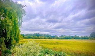 Valley View - Sudbury - 4
