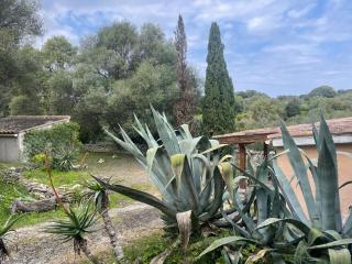 Deux mini villas distancees 10 metres pour 6 personnes - Saint-Florent - 9