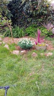 furnished apartment with a garden - 9