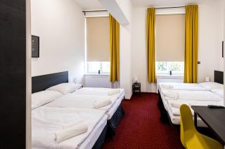 Hotel Pod Zeleným Dubem - 7