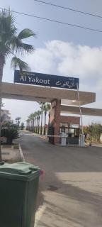 yakout - Mohammedia - 2
