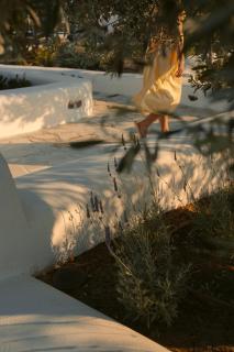 Black Rose Beach Suites - Perivolos - 1
