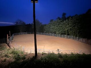 Agriturismo Podere Orzale Hospitality & Quarter Horses - Usigliano - 7