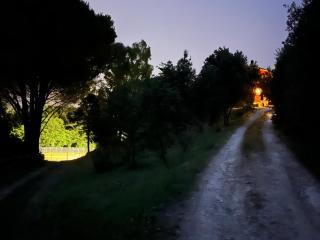 Agriturismo Podere Orzale Hospitality & Quarter Horses - Usigliano - 8