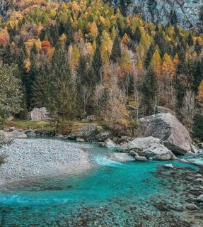 Appartamento Stella - Sondrio - 5