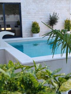POOL RESORT- Vila Lena- Apartman 2 - Vrdnik - 0