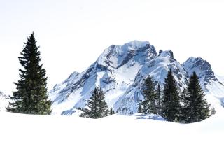 Der Alpenfrieden - 5