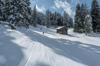 Der Alpenfrieden - 1