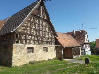 La Petite Ferme d'Albert - - 2