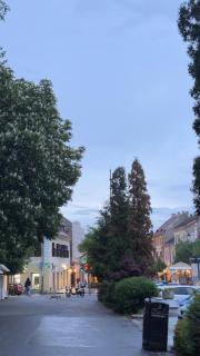 Phoenix Central Apartments Sibiu - 8