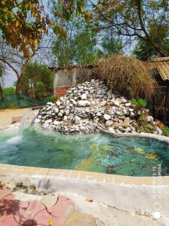 stahouz Nature's Abode Colonel farm - Lucknow - 8
