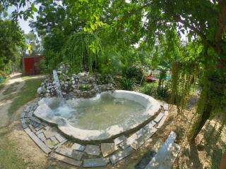 stahouz Nature's Abode Colonel farm - Lucknow - 7