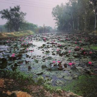 stahouz Nature's Abode Colonel farm - Lucknow - 1