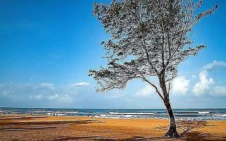 Hotel Mild Inn - Calangute - 3