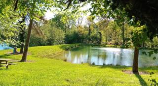 Les tiny houses autonomes du val d'or - 1