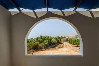 Olive Tree Horizon - Pylos - 2