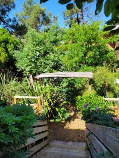 Le Lodge du Cap Ferret - 0