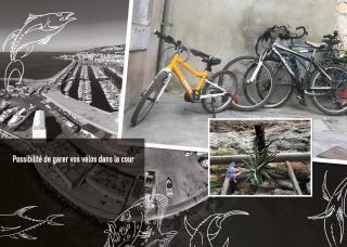 Pulpicool - Sète - 5
