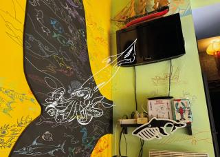 Pulpicool - Sète - 4