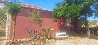 Apartements Maslina Vir - 3
